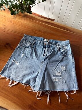 We The Free Light Blue Distressed Jean Shorts